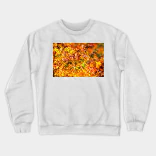 Maple tree red and orange autumn leafs Crewneck Sweatshirt